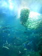 Image066.jpg